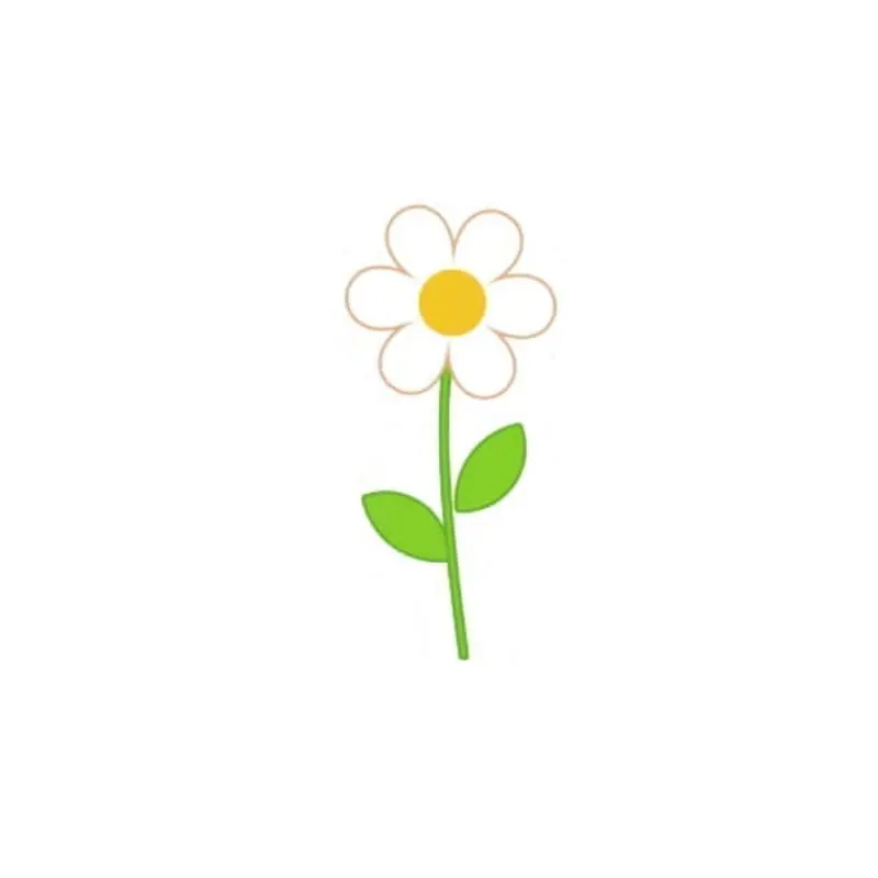 Daisy