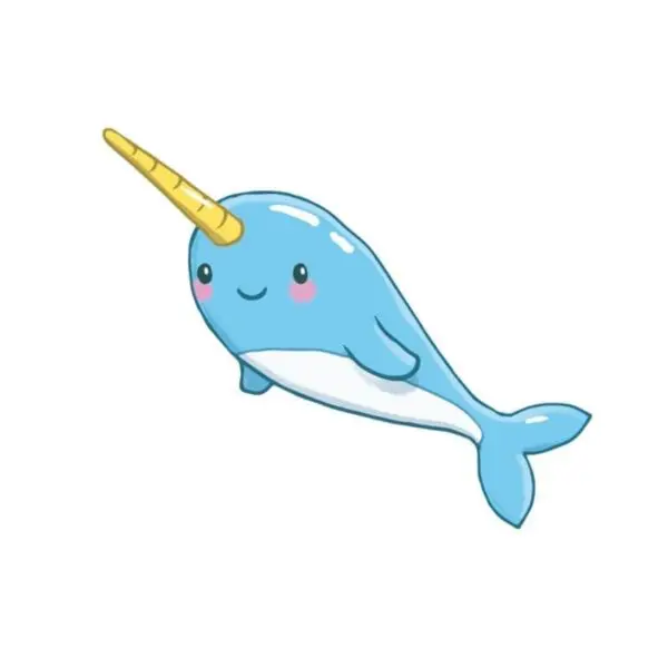 DL0024-Narwhal