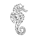Seahorse
