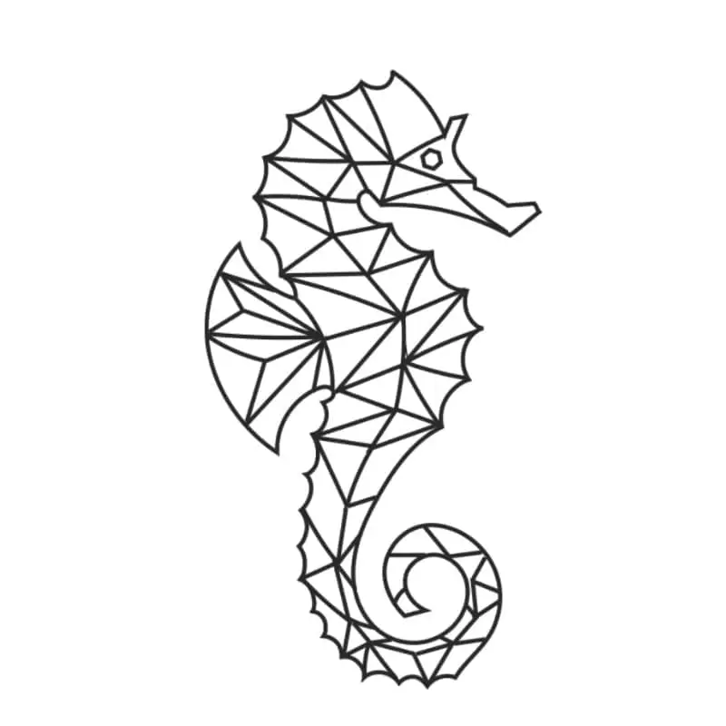 Seahorse