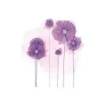 Purple Flowers