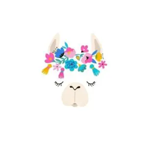Llama