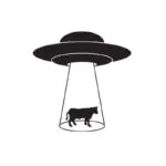 Flying Saucer