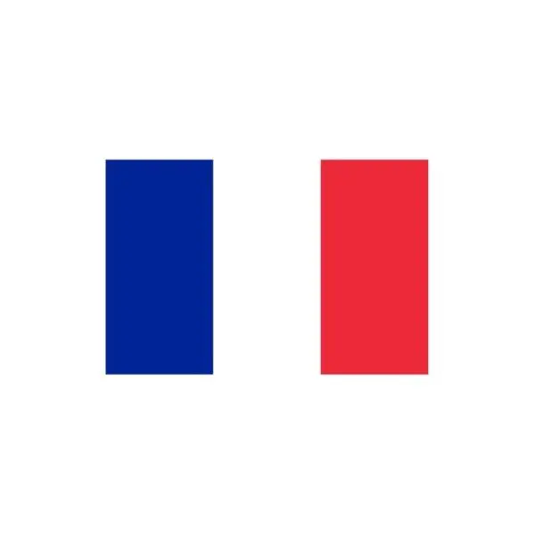 DL0110-FrenchFlag
