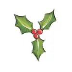 Holly