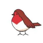 Robin