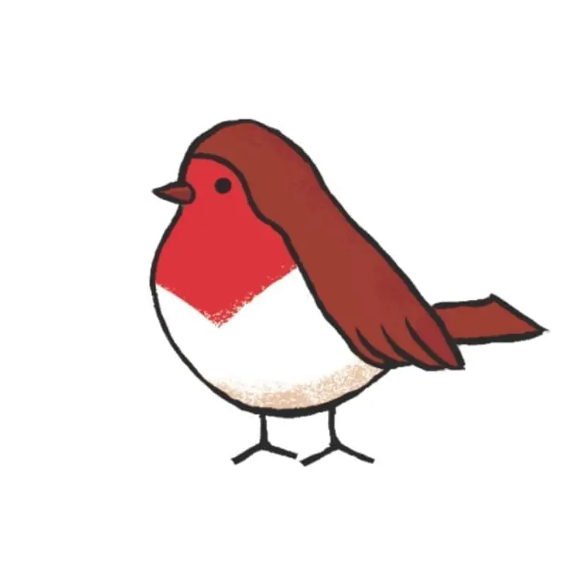 Robin