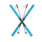 Skis