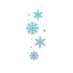 Snowflake