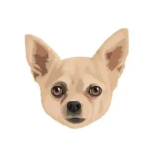 Dog 1