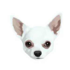 Dog 2