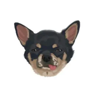Dog 3