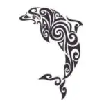 Dolphin