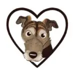 Terrier Love