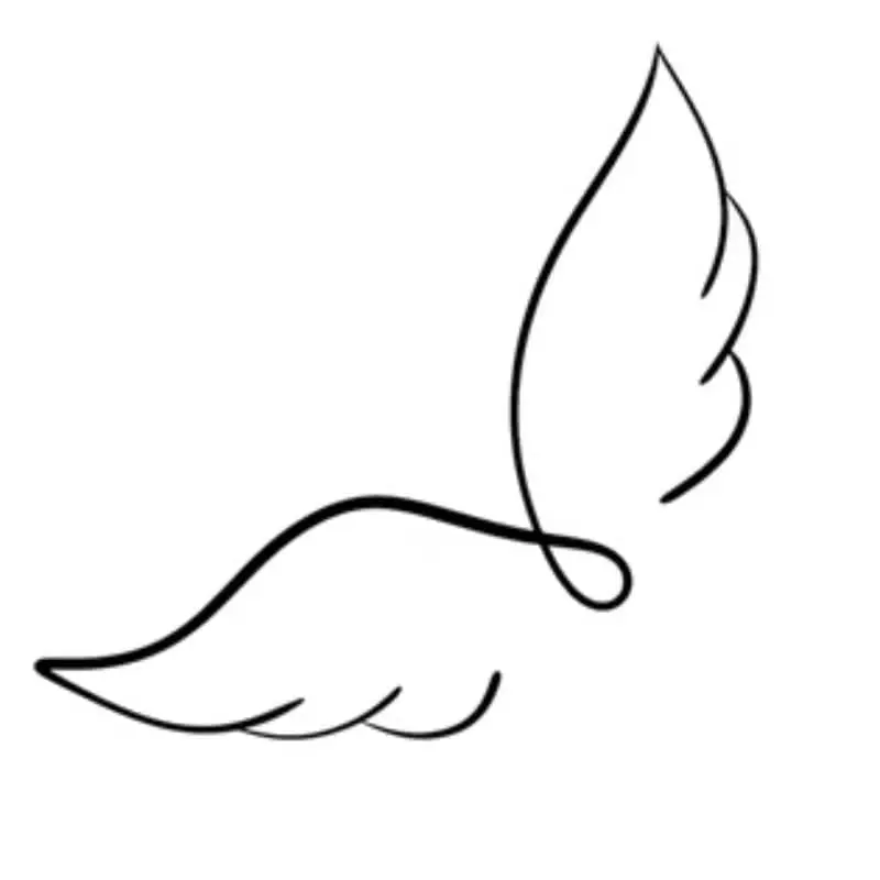 Angel Wings