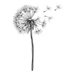 A minimalist, fine-line botanical temporary tattoo design of a dandelion clock mid-drift. The design features a single delicate black outline stem and head, with several individual fluffy seeds breaking away and floating gracefully into the air to the upper right. The illustration uses precise, thin line work with zero background ink, giving it a hand-drawn, poetic anime aesthetic that sits clean on any skin tone.