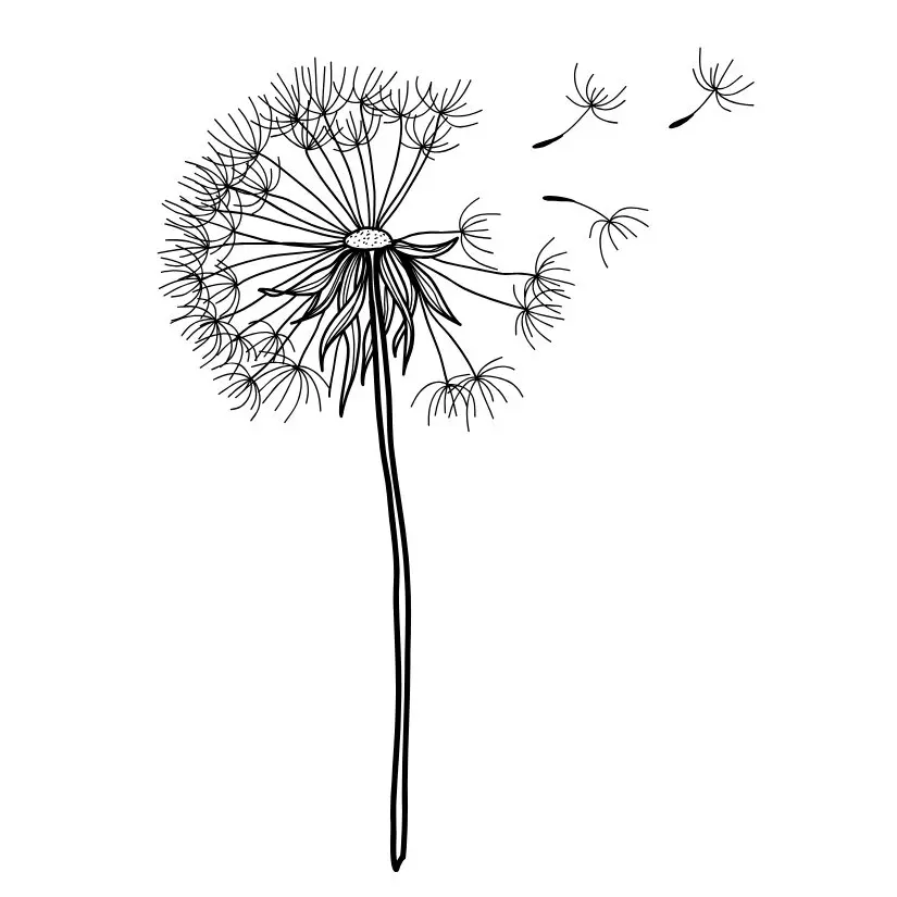 A minimalist, fine-line botanical temporary tattoo design of a dandelion clock mid-drift. The design features a single delicate black outline stem and head, with several individual fluffy seeds breaking away and floating gracefully into the air to the upper right. The illustration uses precise, thin line work with zero background ink, giving it a hand-drawn, poetic anime aesthetic that sits clean on any skin tone.