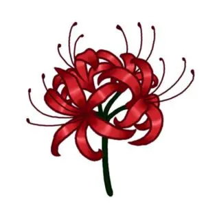 A detailed temporary tattoo design of a blooming Red Spider Lily (Higanbana). The flower features numerous detailed, crimson-red petals curled outward, balanced by long, delicate, matching tendrils and stamens radiating from the center. It has a high-definition illustrative watercolor style with rich gradients and deep greens in the stem. The organic, sprawling design is isolated against a clean background, clearly showing its complex contour shape.