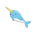 Narwhal