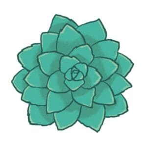 Succulent