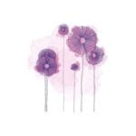 Purple Flowers