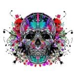Multi-Colour Skull