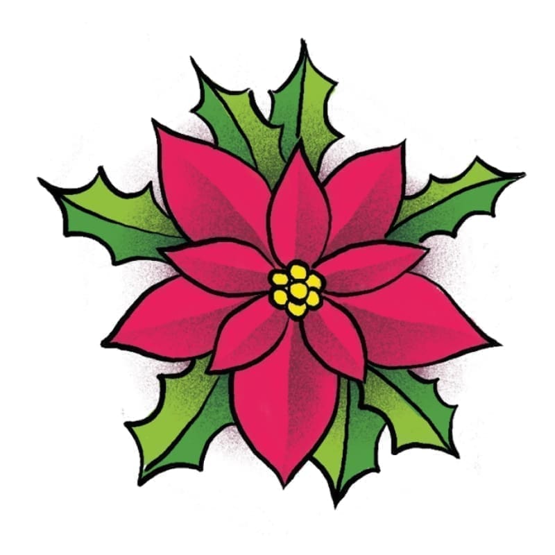 Poinsettia