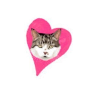 Cat Love