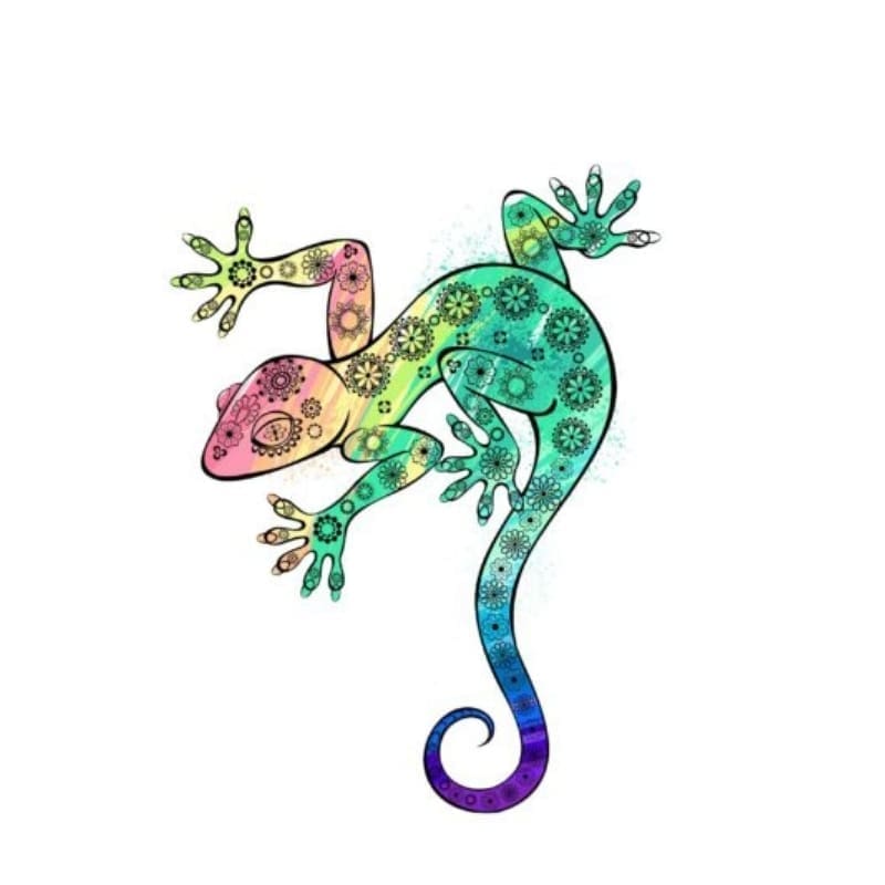 Chameleon Rainbow