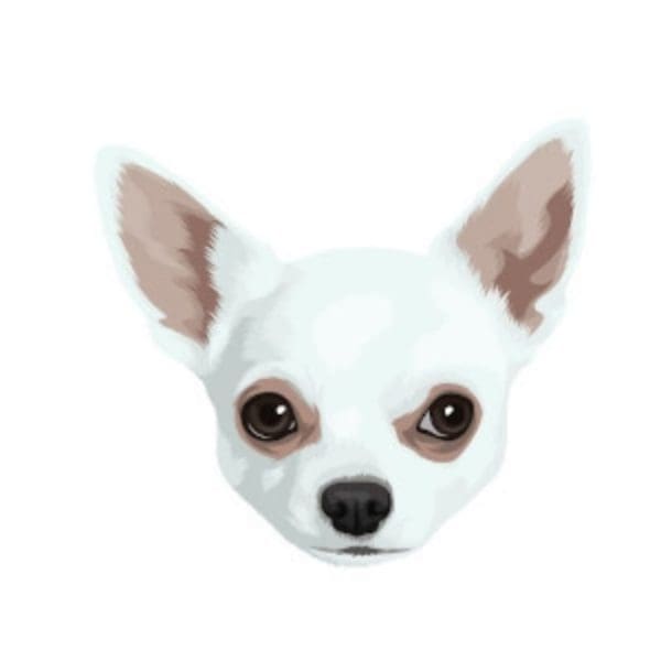 Dog 2