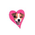 Dog Love