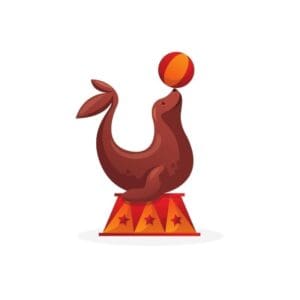 Circus Performing Seal