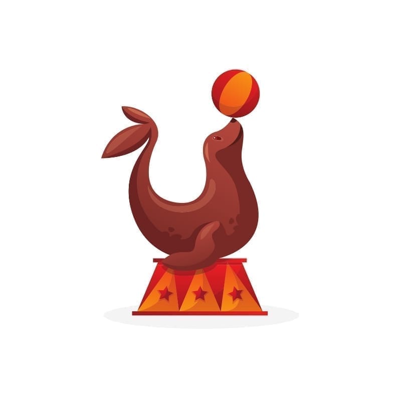 Circus Performing Seal